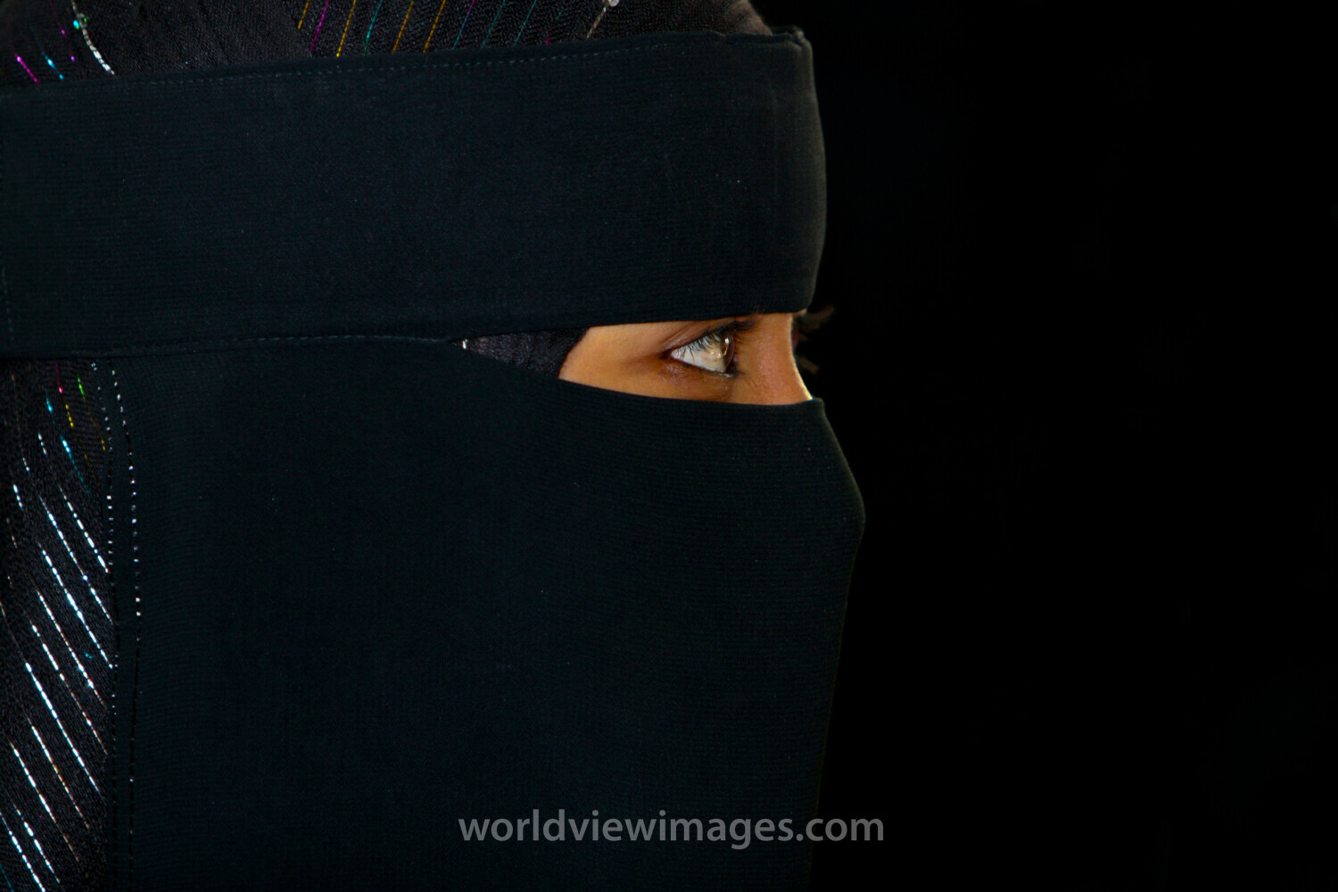 Going Back to School