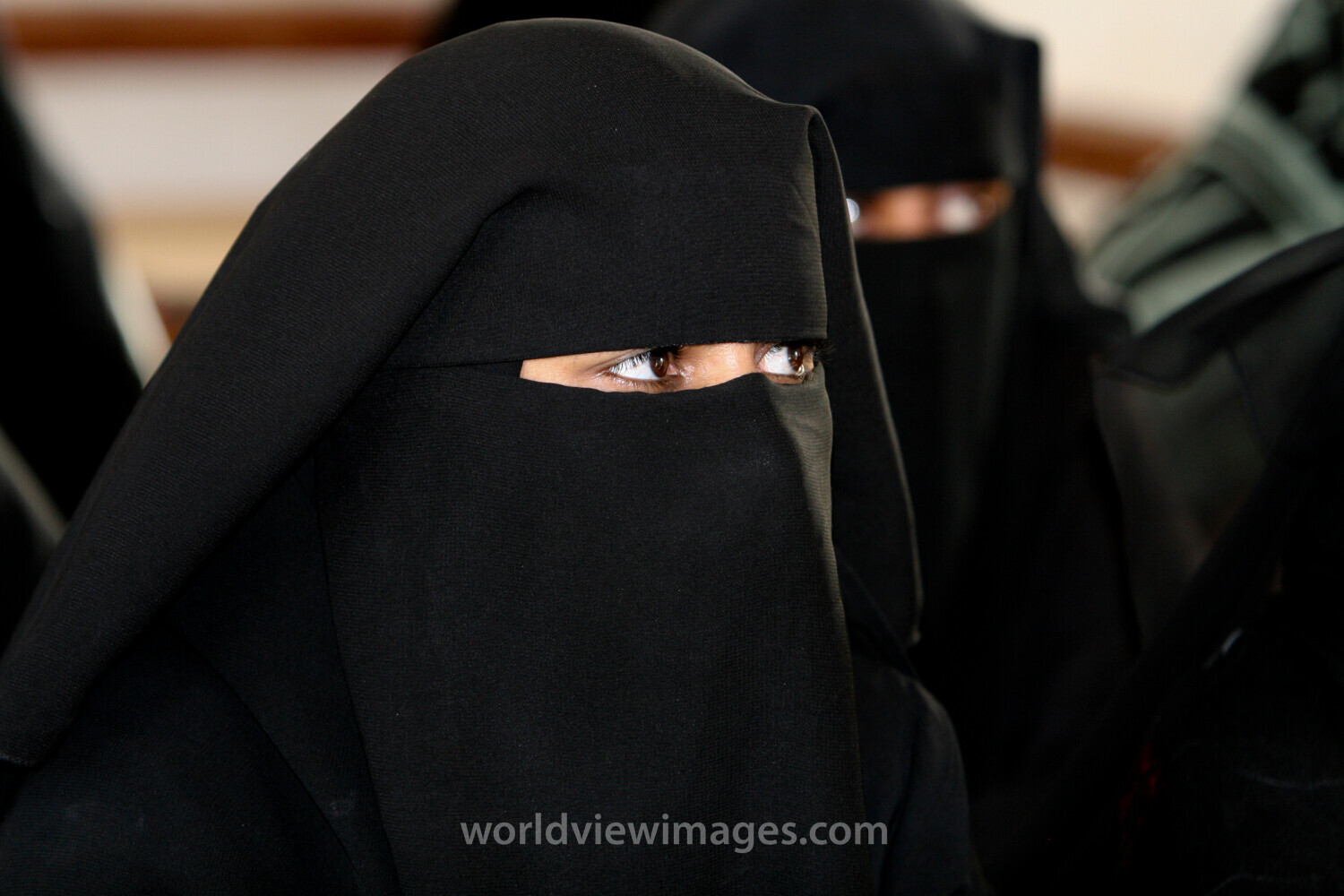 Going Back to School