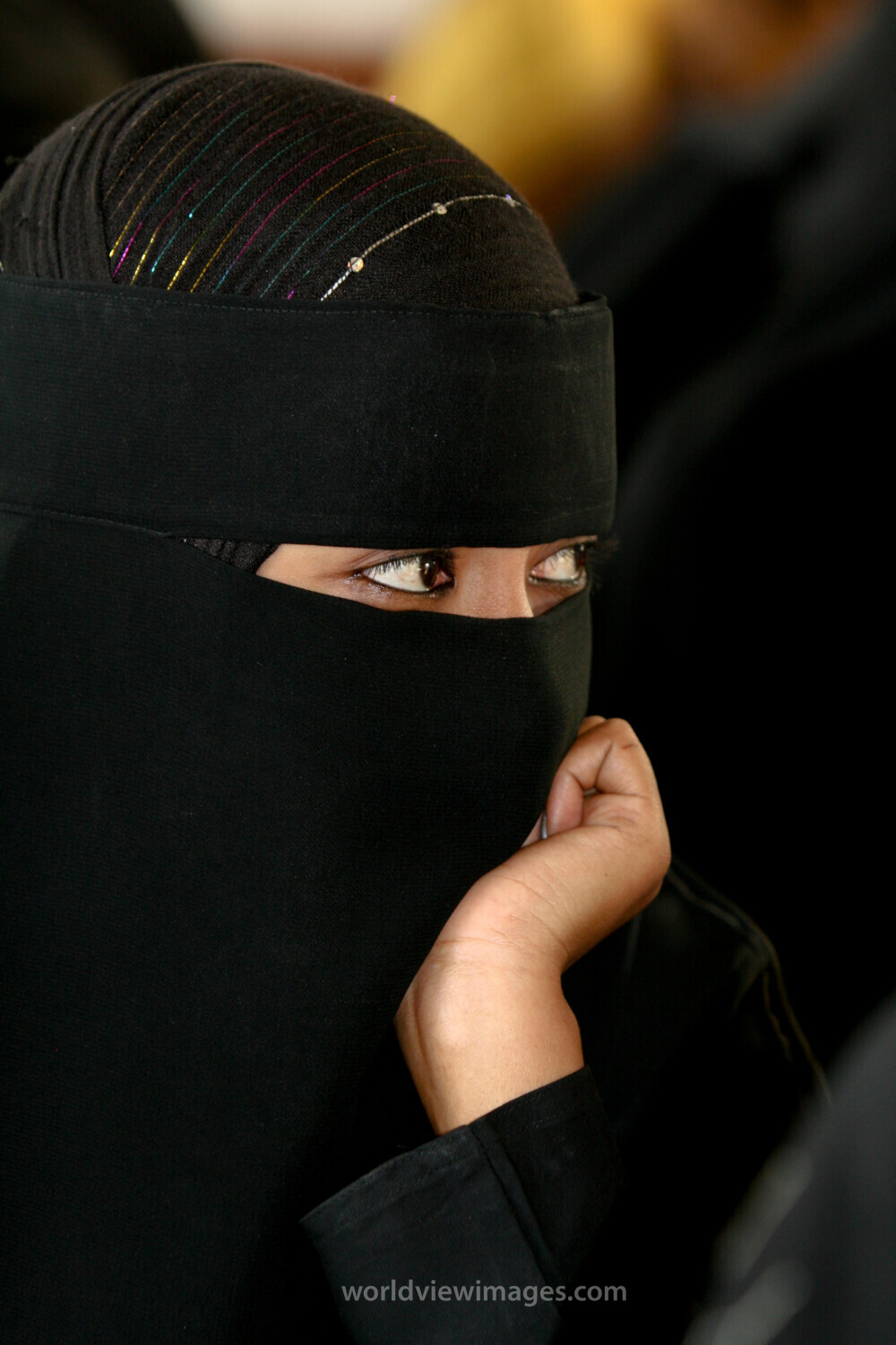 Going Back to School