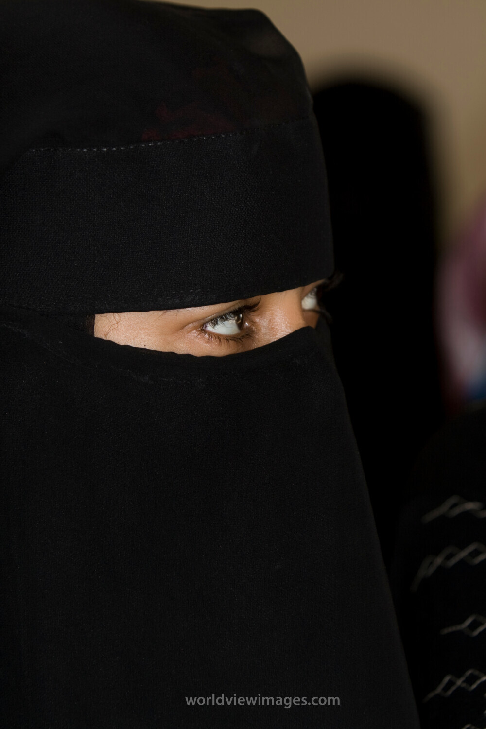 Going Back to School