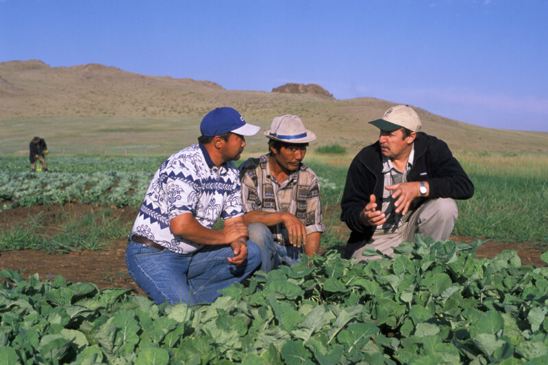 Agricultural Instruction in Mongolia — People in Mongolia learn how to grow and process food from their own gardens, in a program run by ADRA — Mongolia, ADR...