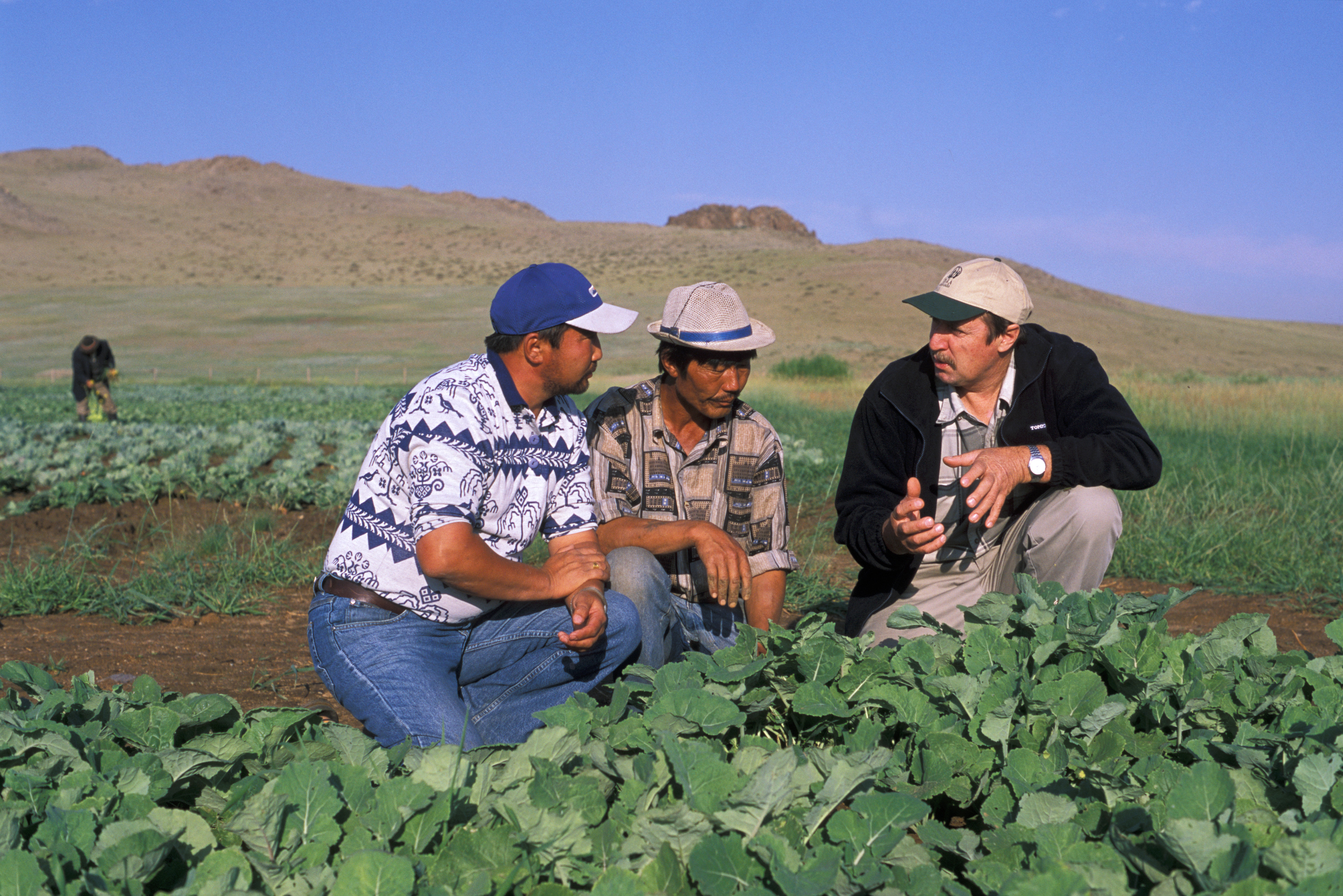 Agricultural Instruction in Mongolia