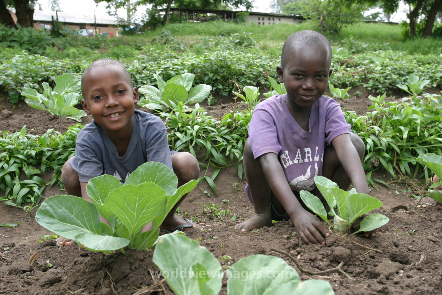 Children in Garden in Rwanda