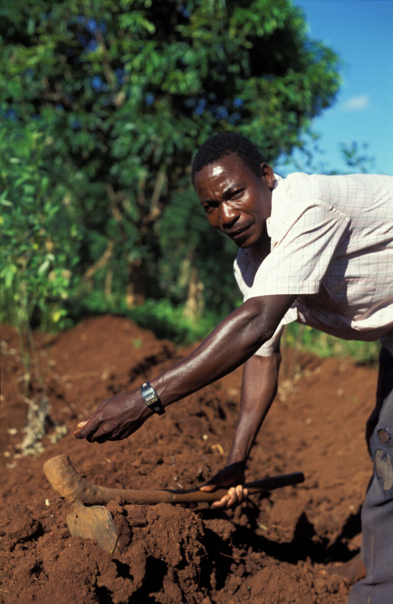 Planting Time in Malawi — Planting fields in Malawi, Africa — Malawi, Africa, planting, fields, agriculture