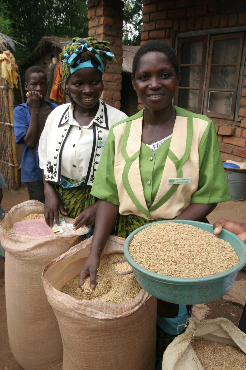 Buying Rice in Malawi — Woman buys rice in a village market — Malawi, Africa Rice, Sacs, market