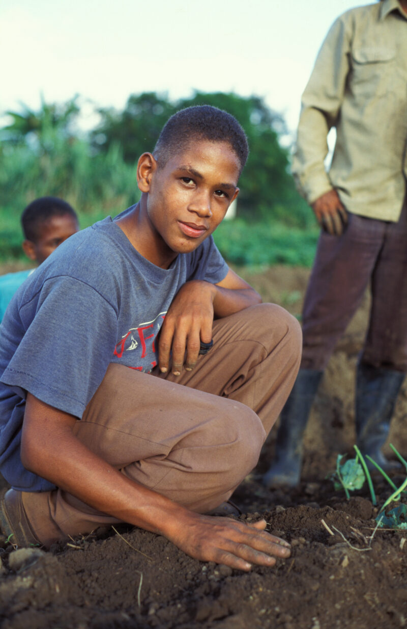 Planting Time in Dominican Republic — Working on the farm in the Dominican Republic — Dominican Republic, farm, food, food security