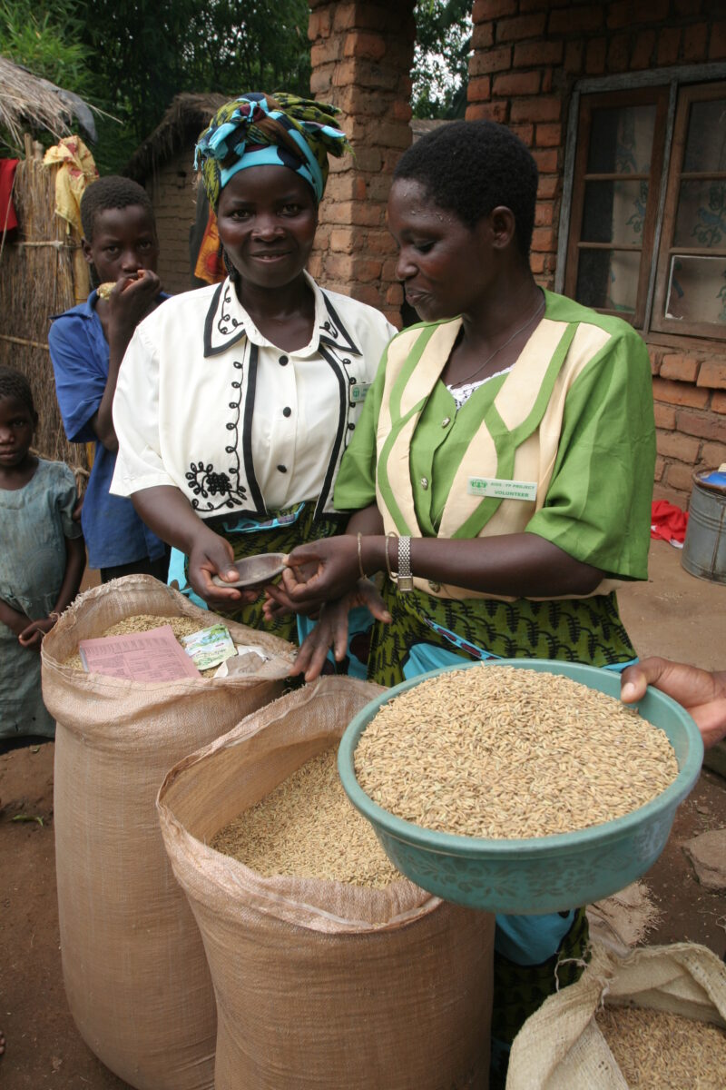 Buying Rice in Malawi — Woman buys rice in a village market — Malawi, Africa Rice, Sacs, market, women
