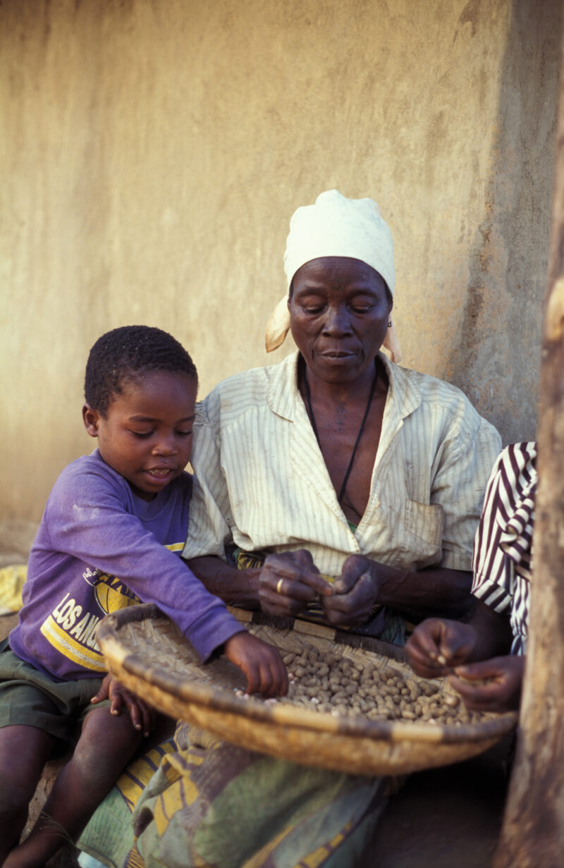 Harvest Time in Malawi — People in Malawi processing food — Malawi, Africa, Food Security, food, processing