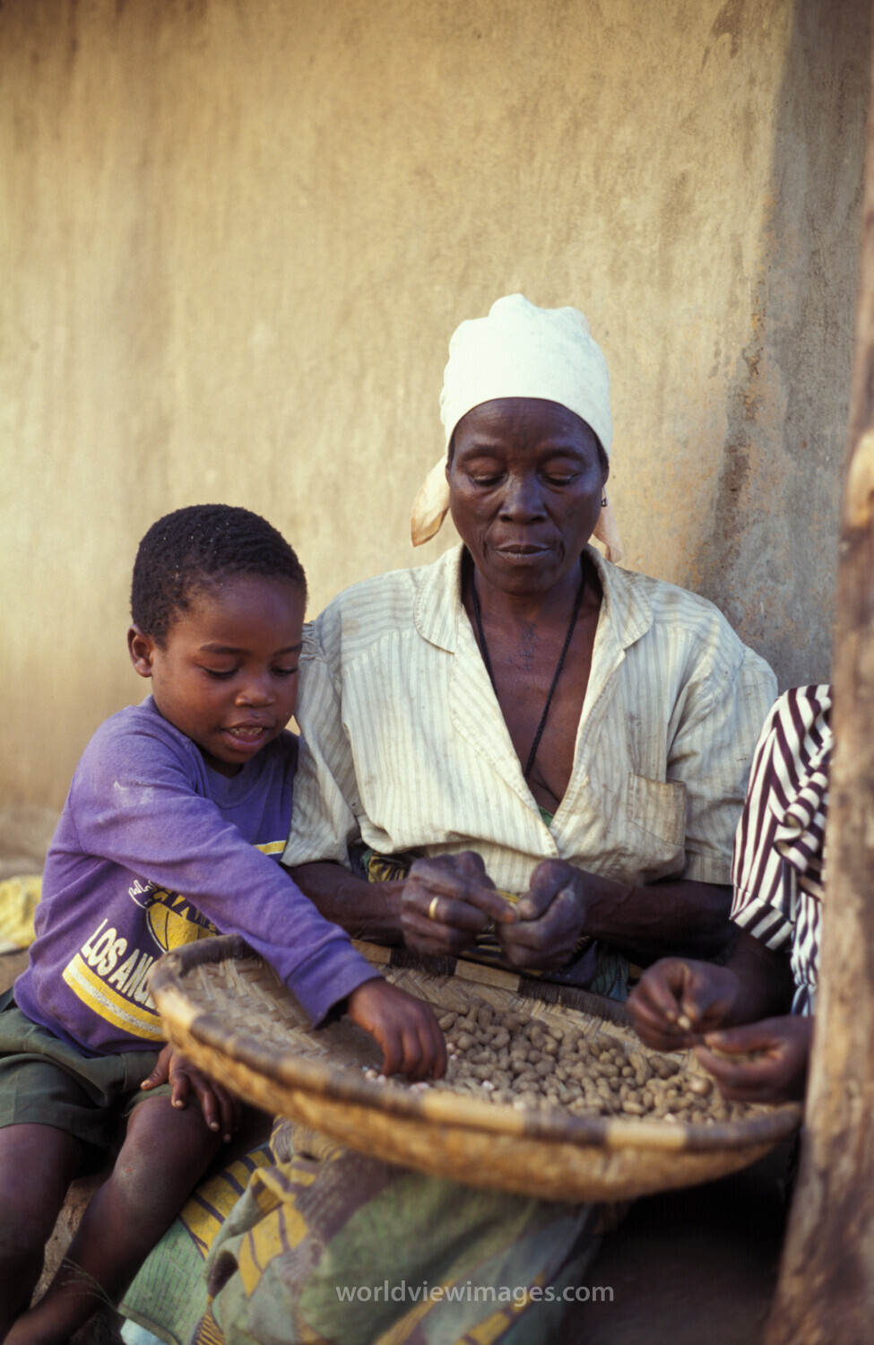 Harvest Time in Malawi