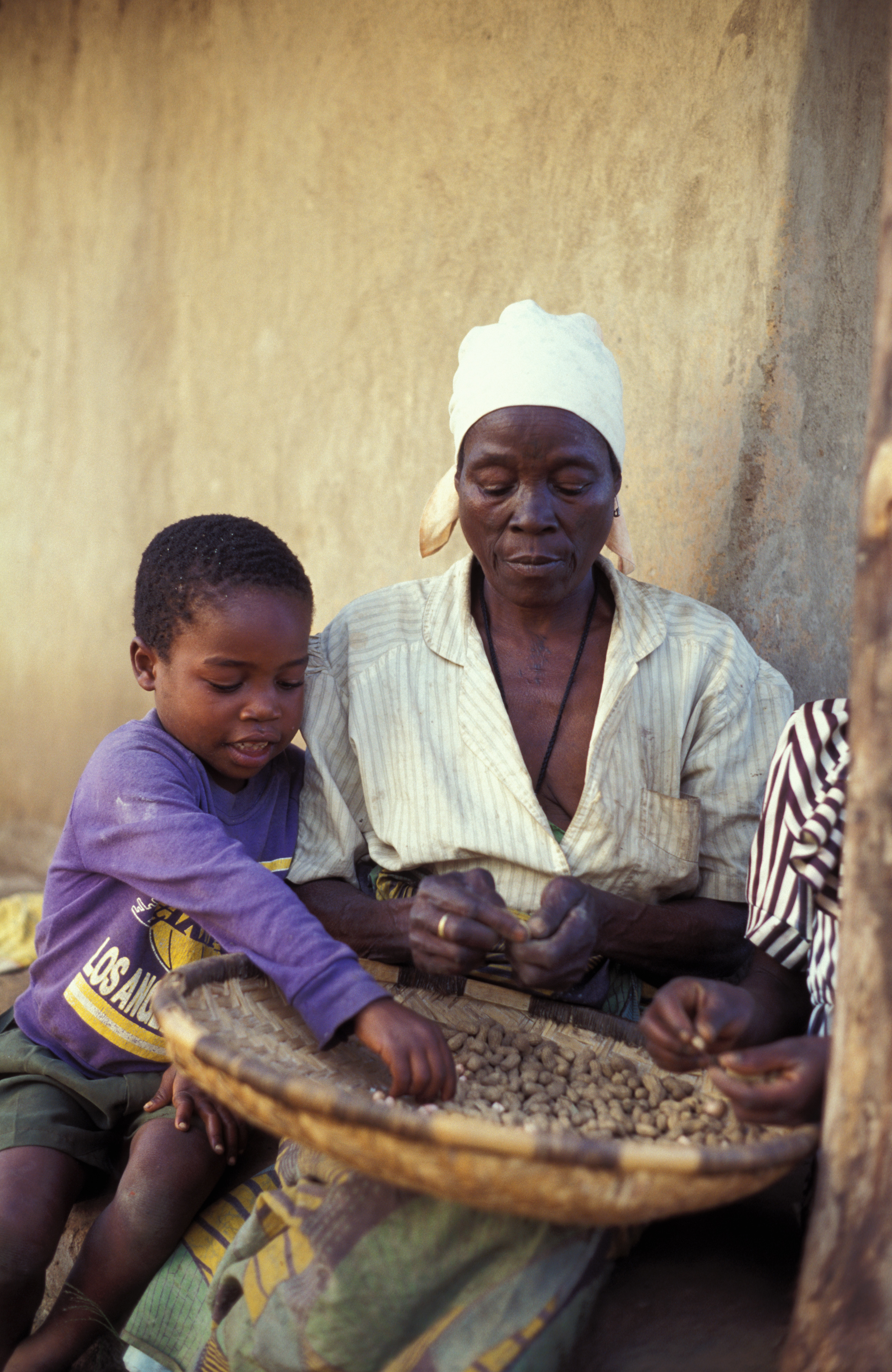 Harvest Time in Malawi