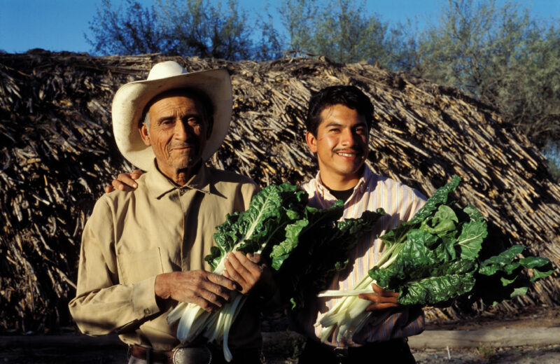 Harvesting Veggies in Mexico — Man stands by an ADRA specalist how has tought him how to make a good income by growing vegetables. — Mexico, food, gardening,...