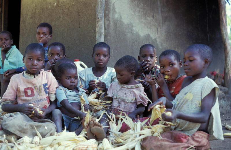 Harvest Time in Malawi — People in Malawi processing food — Malawi, Africa, Food Security, food, processing