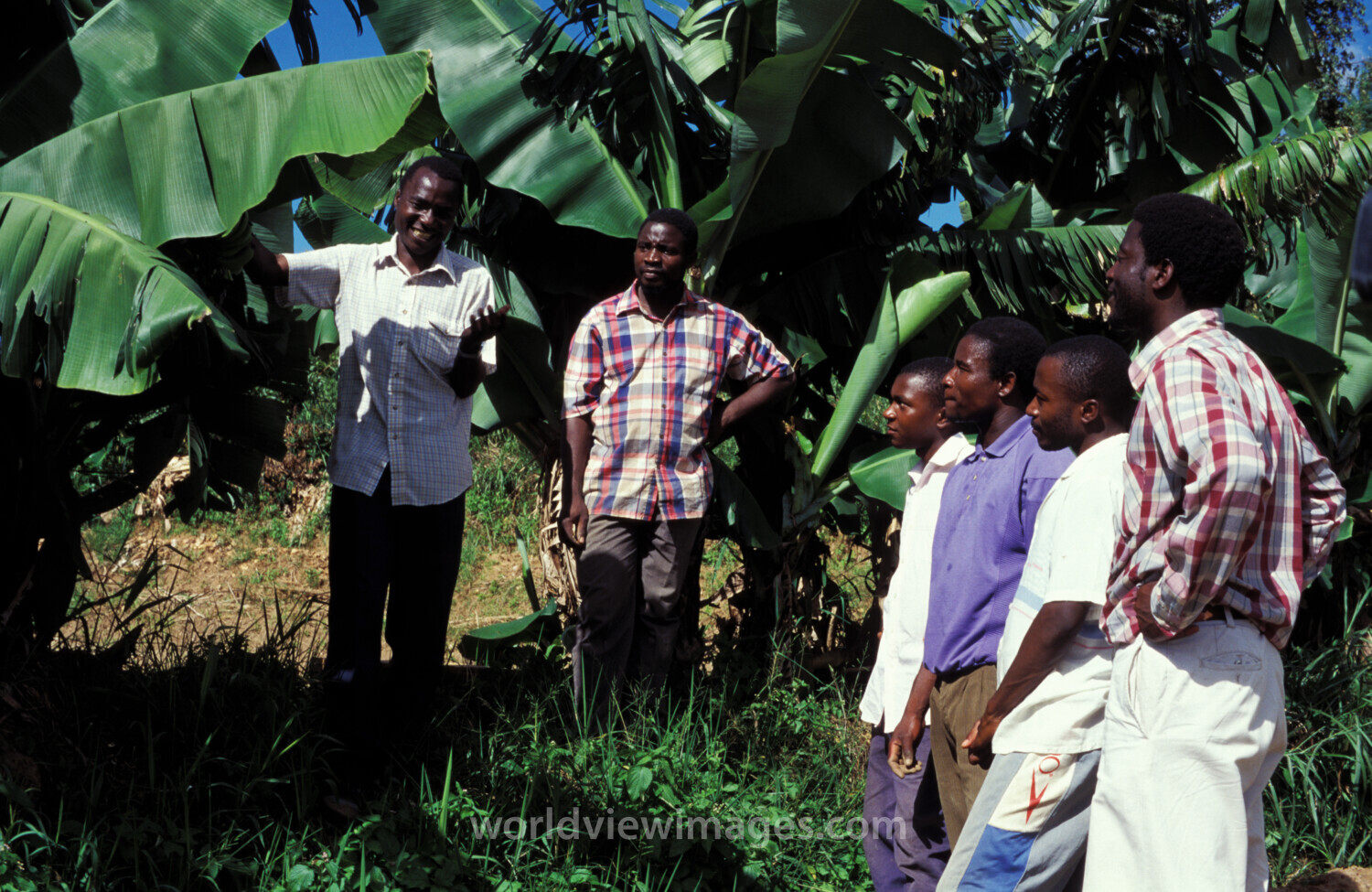 Agricultural Instruction in Malawi