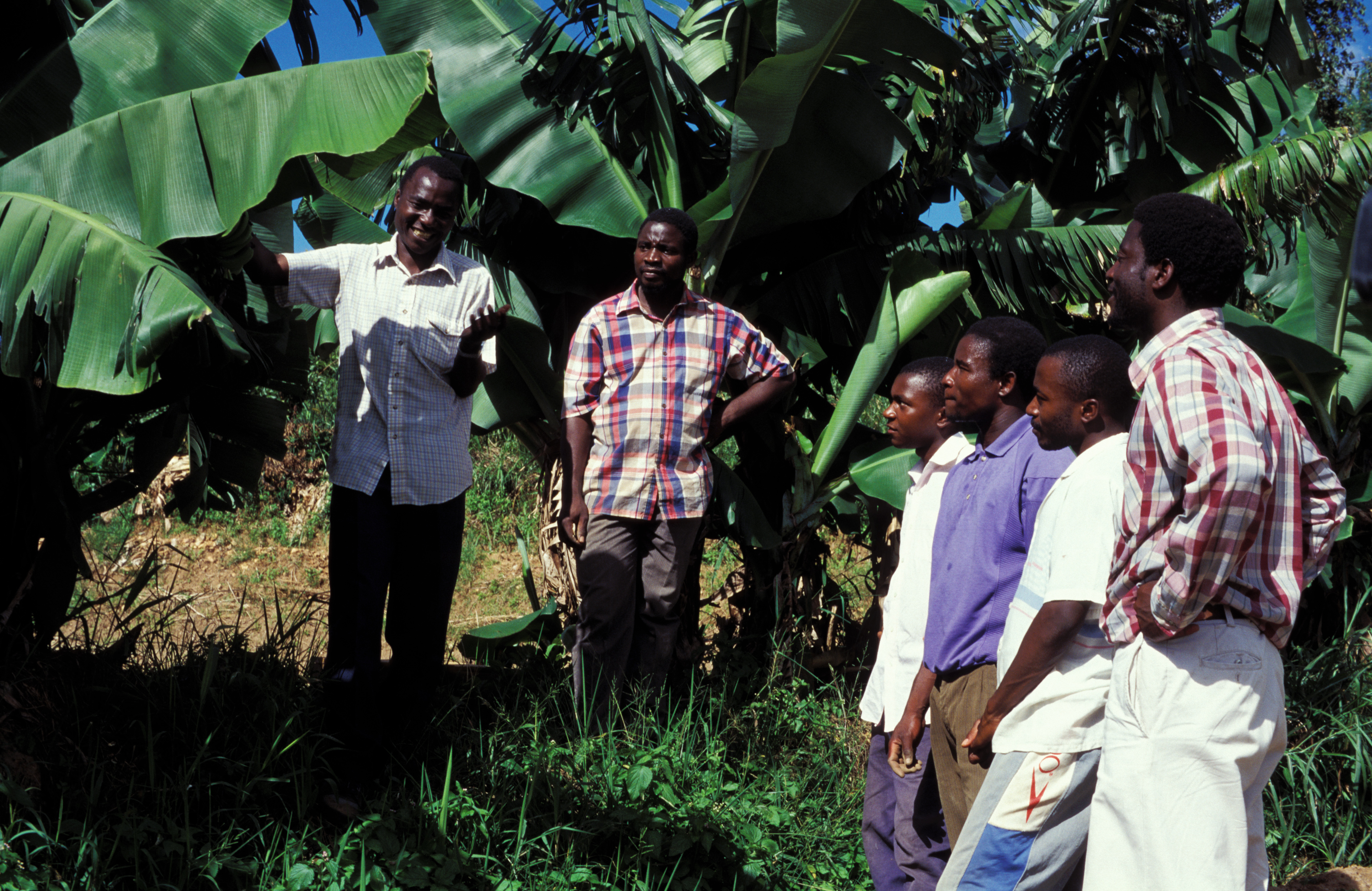 Agricultural Instruction in Malawi