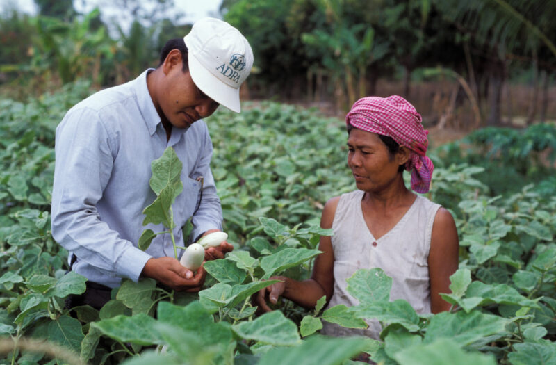 Agricultural Instruction in Cambodia — ADRA specialist consults with woman in her field about her vegetables — Cambodia, Agriculture, Food Security, Agricult...