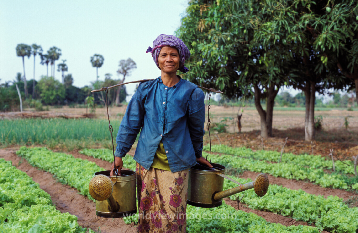 Watering Garden in Cambodia