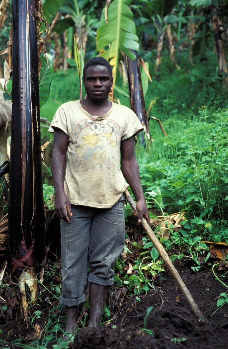 Farmer in Uganda — Learning better methods of agriculture to grom more food for family and profit — Uganda, Africa, Agriculture, food security, Agricultural ...