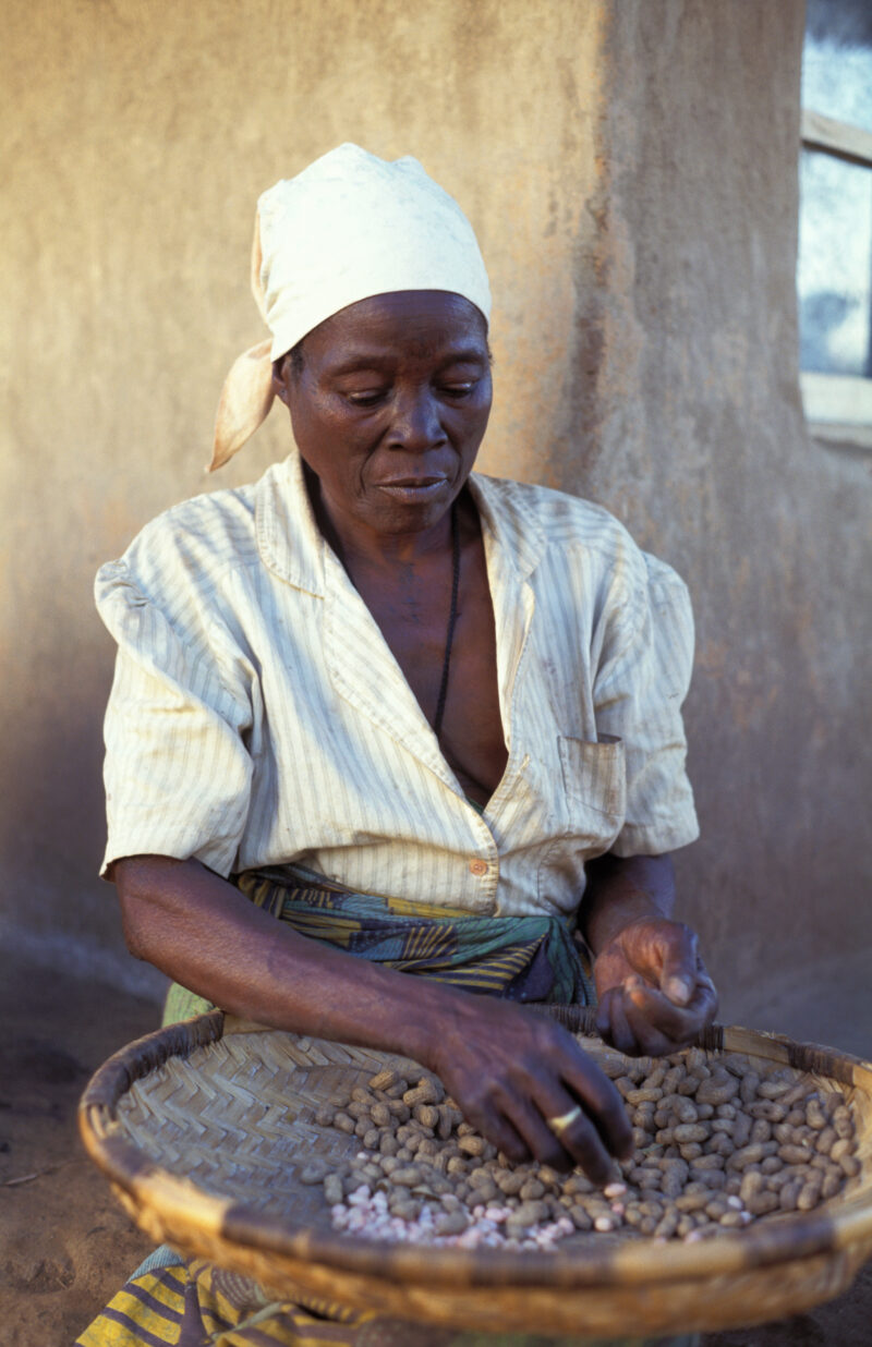 Harvest Time in Malawi — People in Malawi processing food — Malawi, Africa, Food Security, food, processing