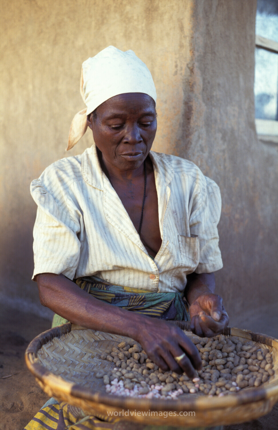 Harvest Time in Malawi
