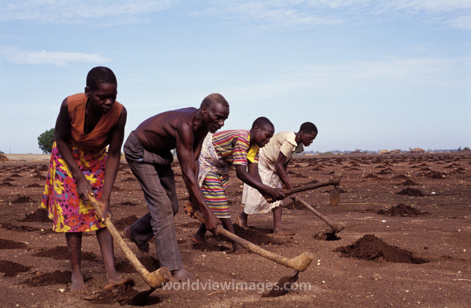 Planting Time in Malawi