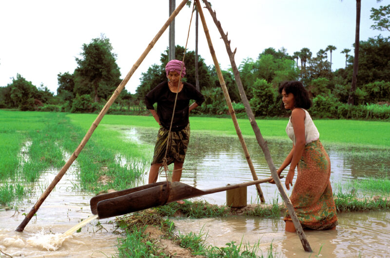 Rice Fields of Cambodia — Women in Cambodia, move water from one rice paddy to another, using a traditional water shovel. — Cambodia, agriculture, food, farm...