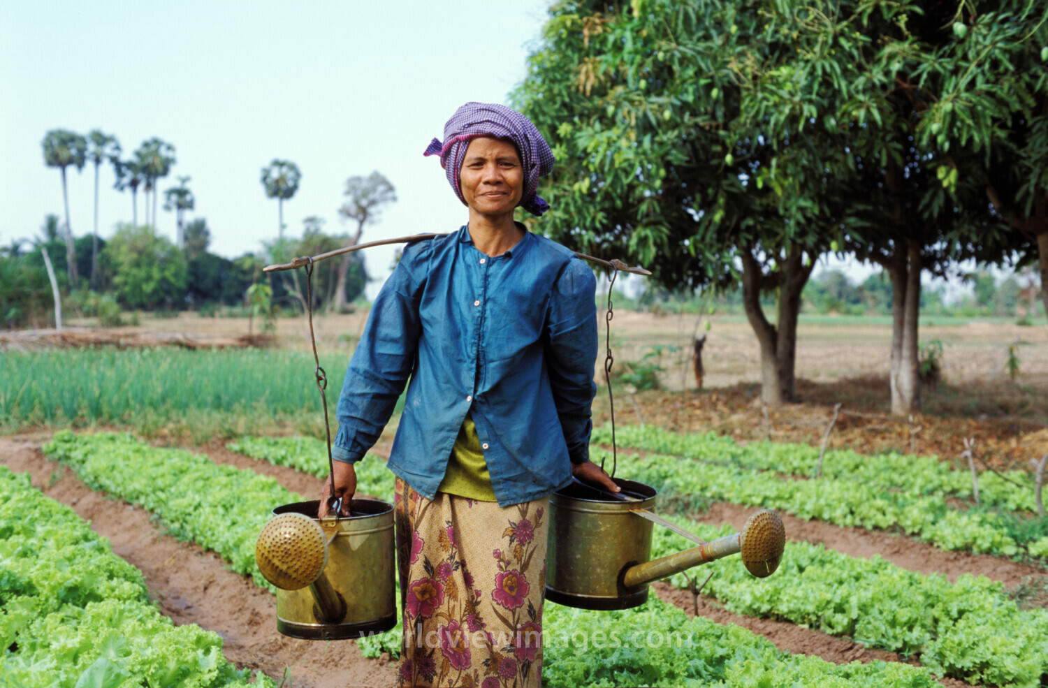 Watering Garden in Cambodia