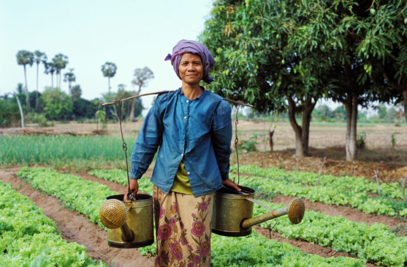 Watering Garden in Cambodia — People in Cambodia working in their fields. — Cambodia, SE Asia, agriculture, food, farming