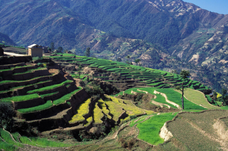 Terraced Fields of Nepal — Terraced fields on the mountain slopes of Nepal — Nepal, agriculture, terracing