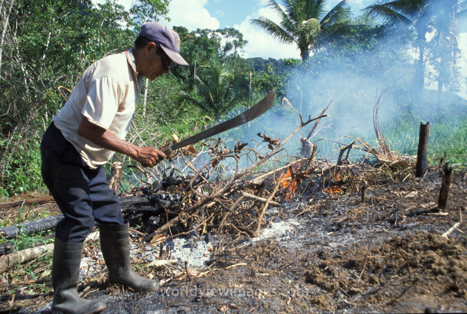 Slash and Burn in Dominican Republic