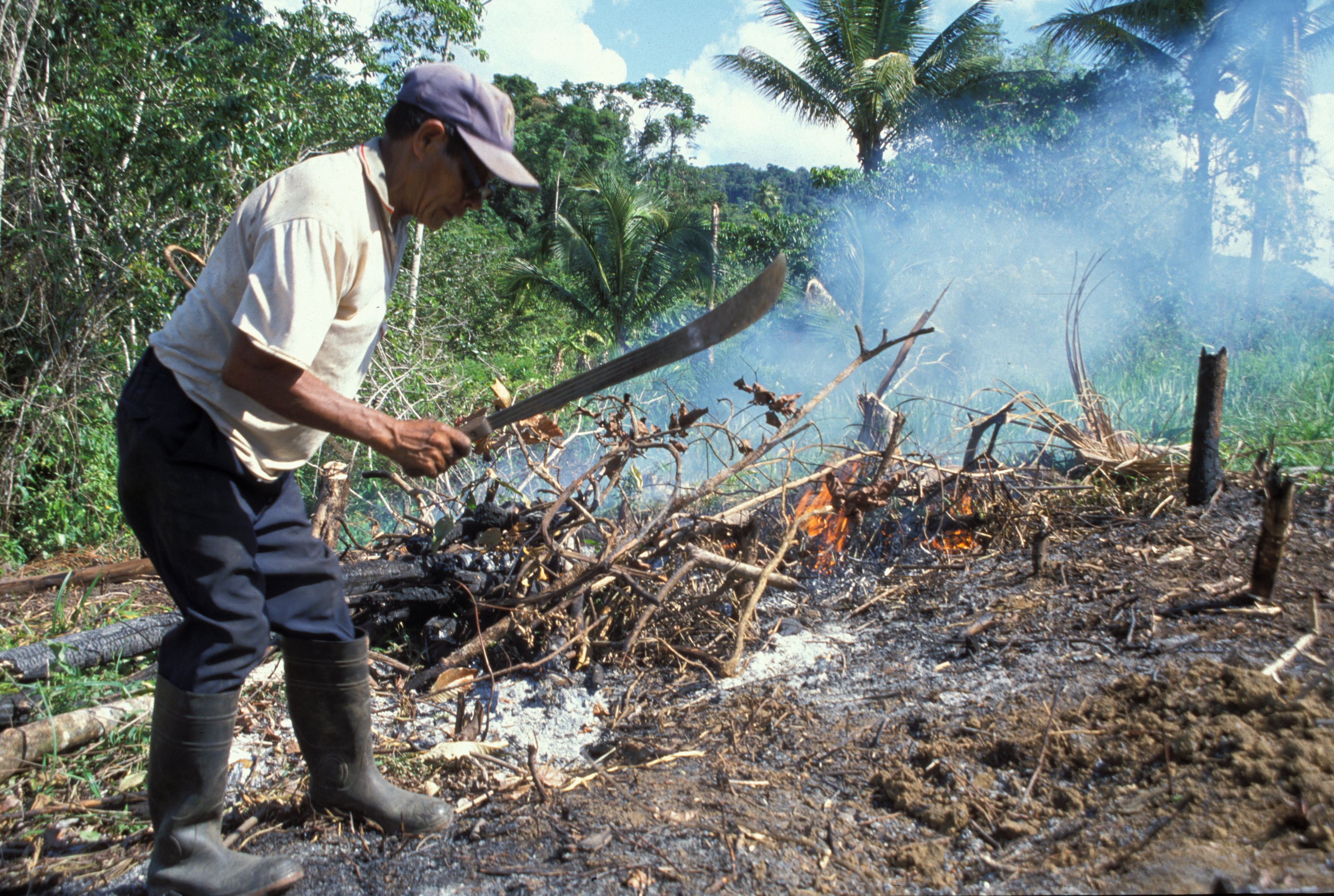 Slash and Burn in Dominican Republic