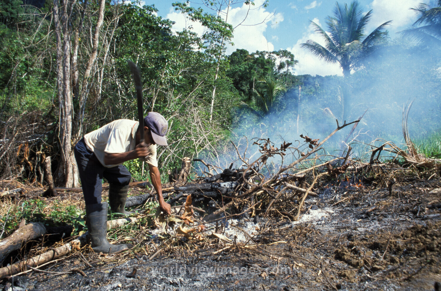 Slash and Burn in Dominican Republic
