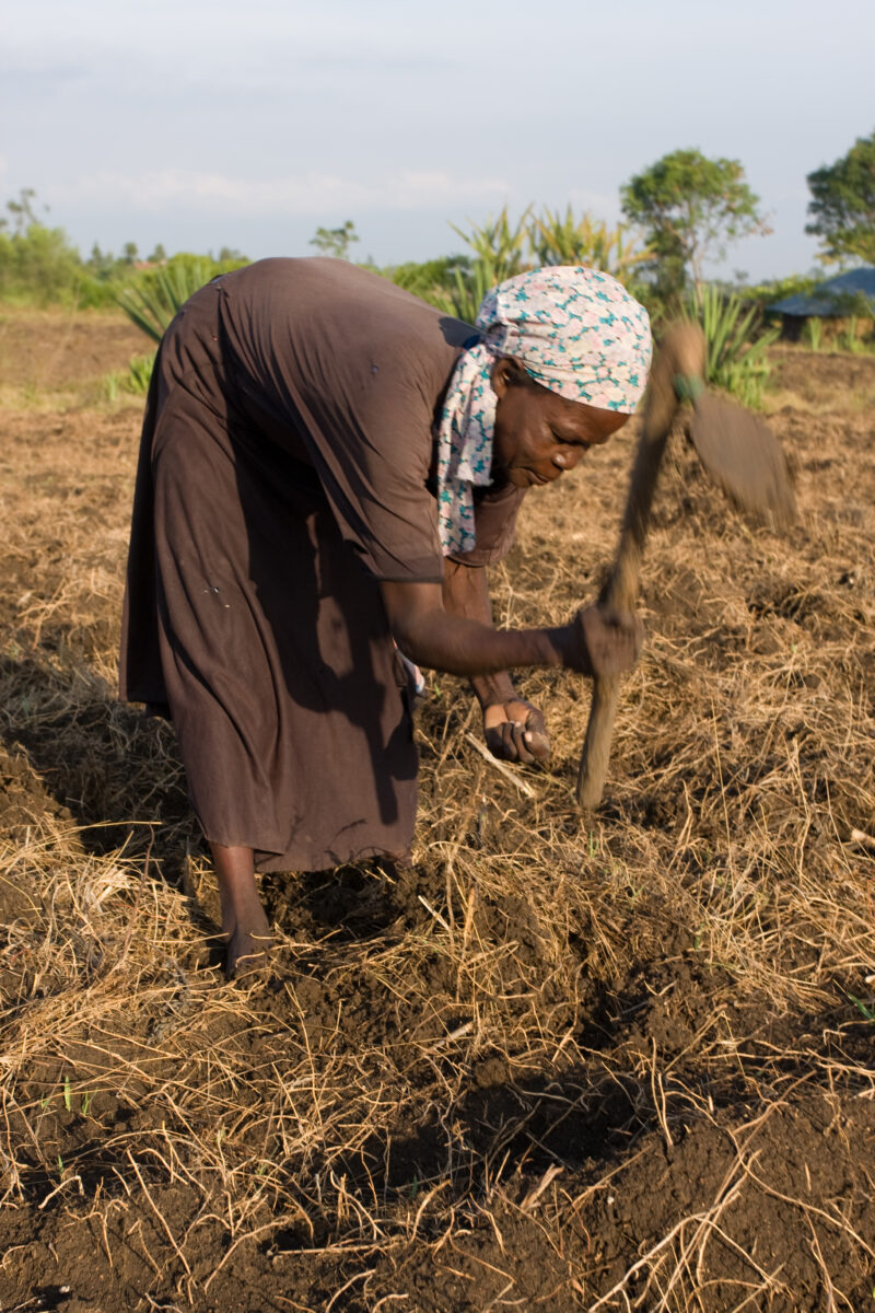 Planting Maize in Kenya — Woman plants seeds in a field in Kenya, Africa — ADRA, AID, Africa, Kenya, women