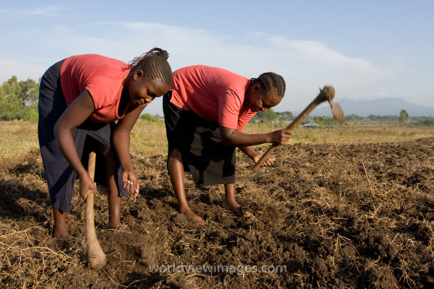 Planting Maize in Kenya