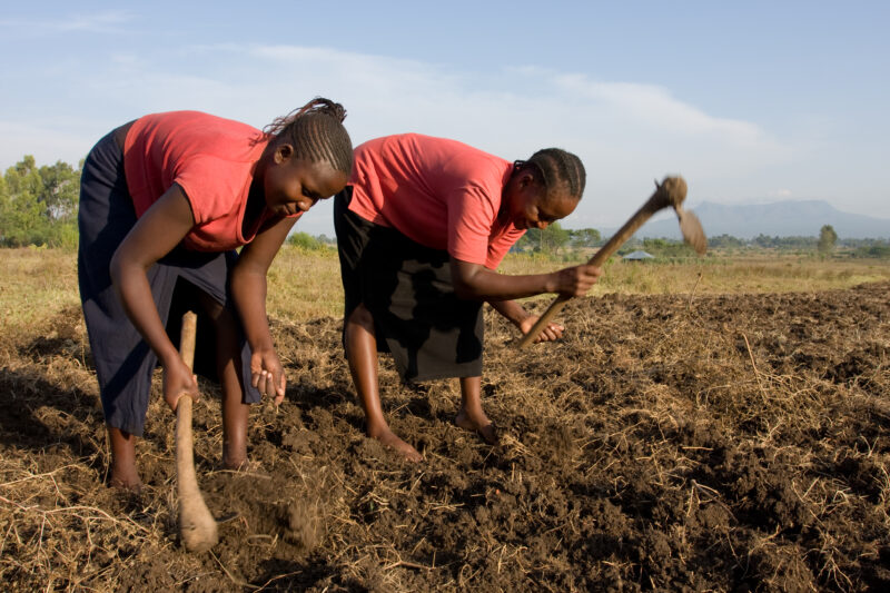 Planting Maize in Kenya — Woman plants seeds in a field in Kenya, Africa — ADRA, AID, Africa, Kenya, women
