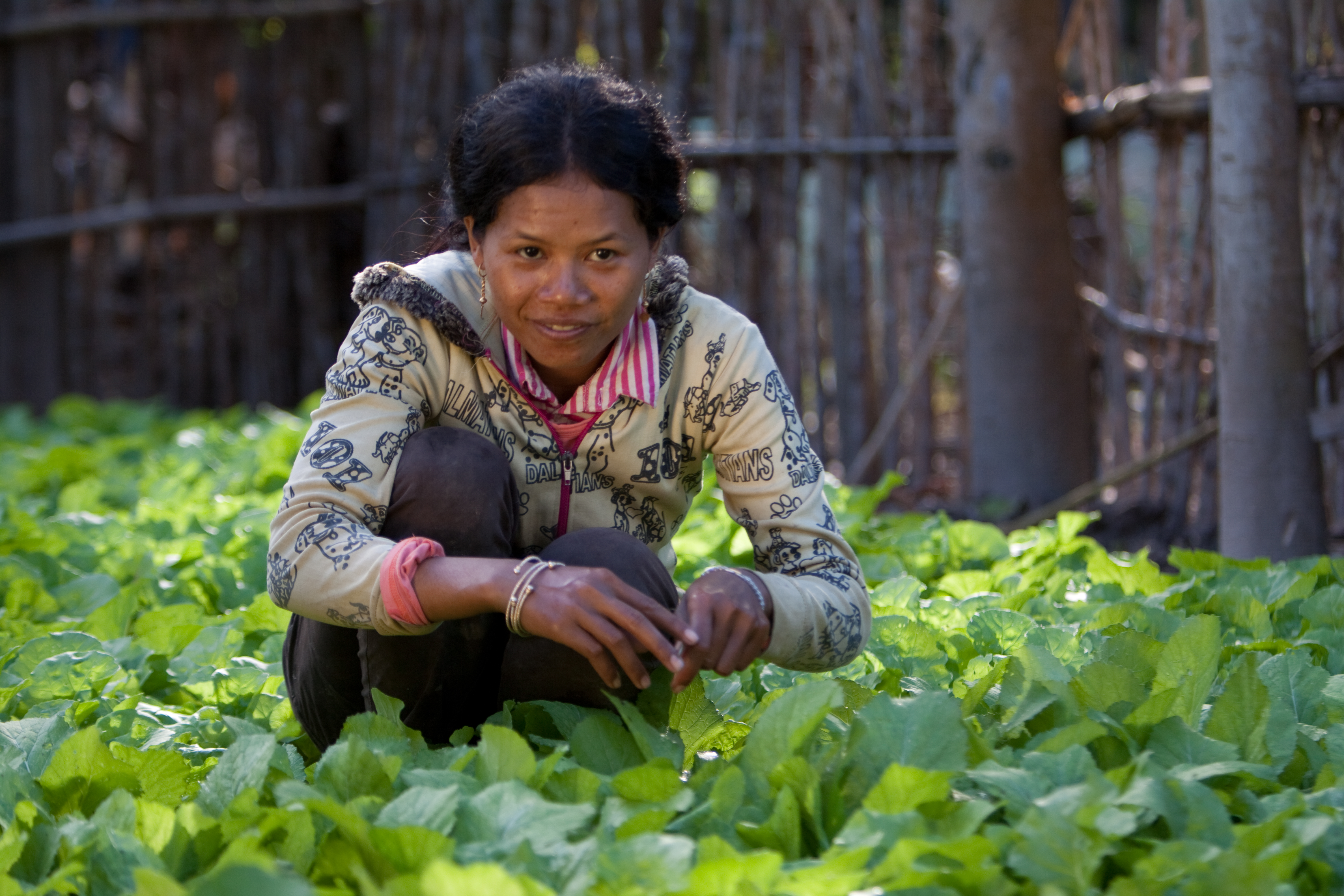 Market Gardening in Cambodia