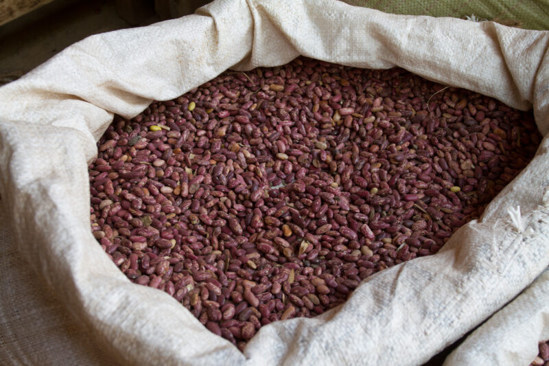 Sac of Beans — Beans, food, staple, food security, sac
