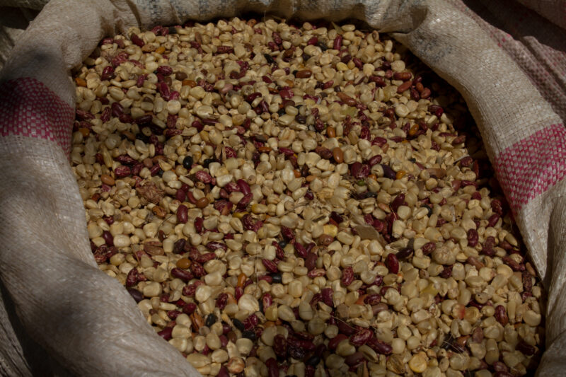 Beans and Maize — Beans, maize, corn, sac, market