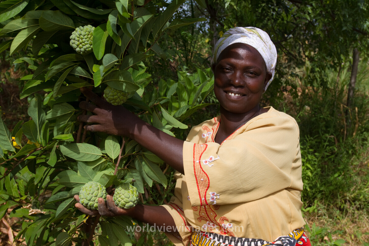 Woman with Her Fruit Tree in Kenya