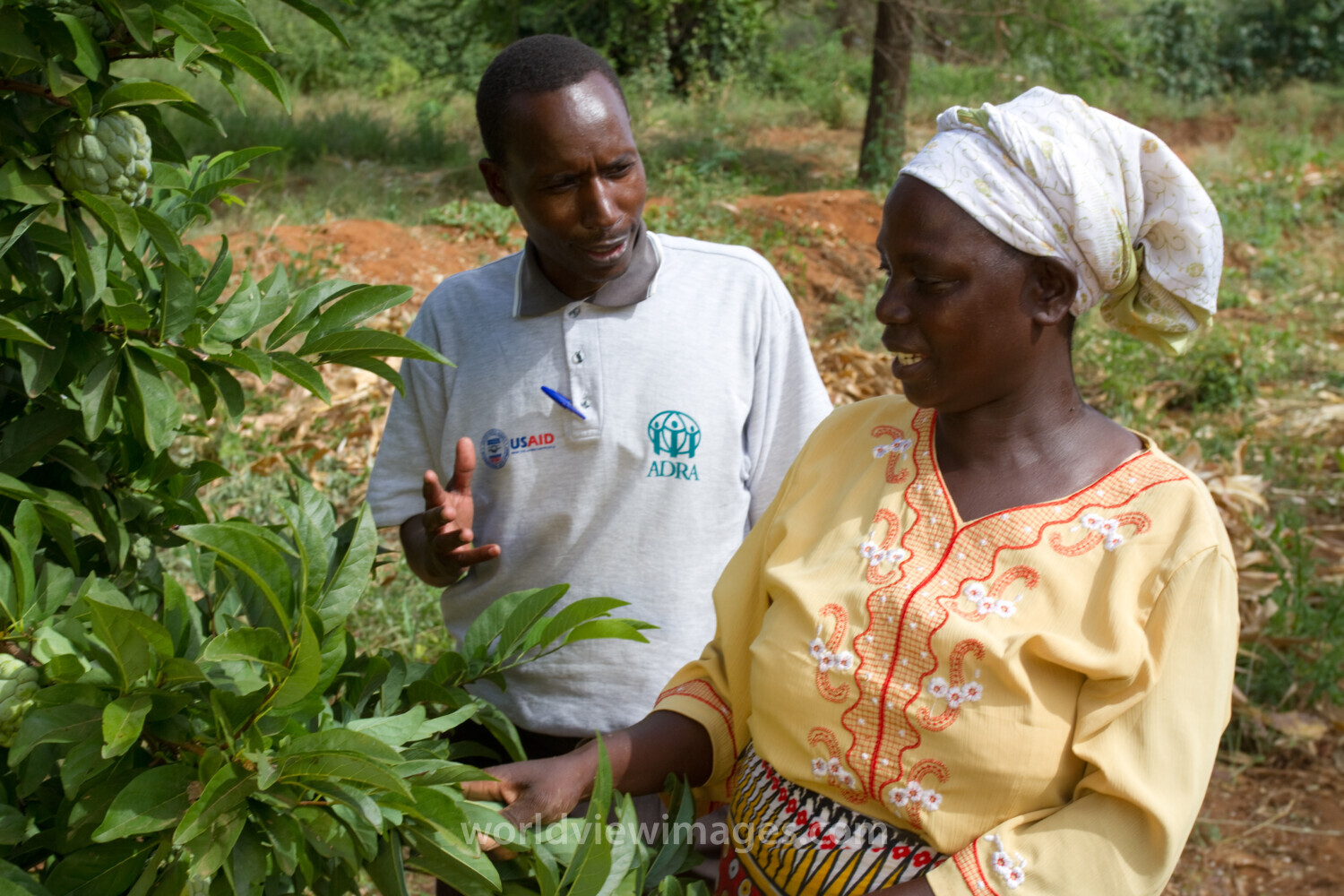 Agricultural Instruction in Kenya