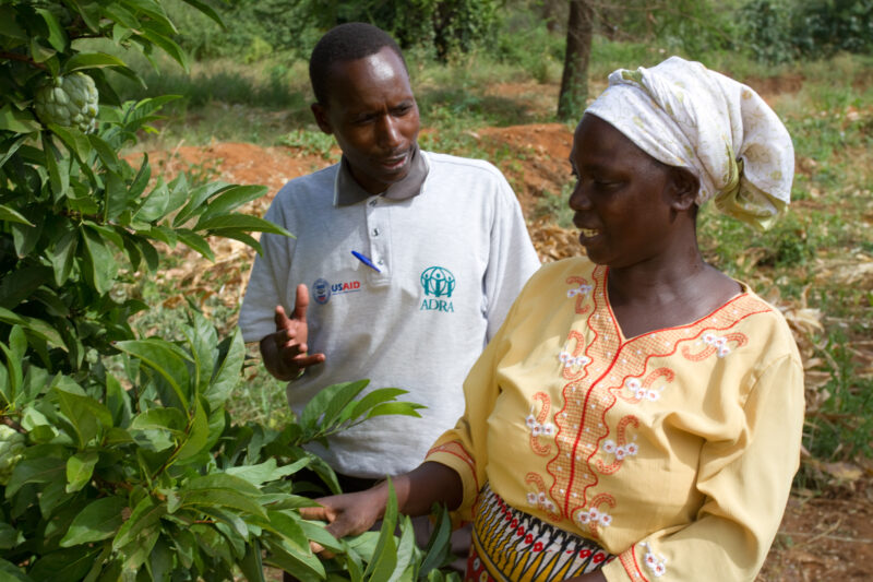 Agricultural Instruction in Kenya — In an ADRA program, villagers get help from agriculturalists on how to grow new crops and fruit trees for food security a...