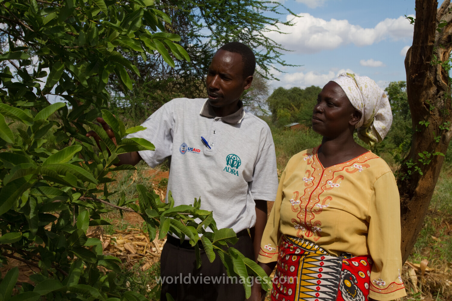 Consulting with a Specialist in Kenya