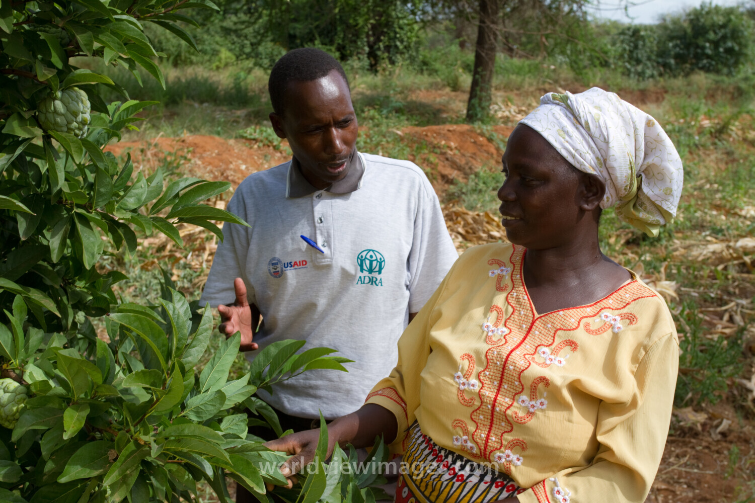 Agricultural Instruction in Kenya