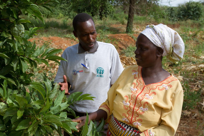 Agricultural Instruction in Kenya — In an ADRA program, villagers get help from agriculturalists on how to grow new crops and fruit trees for food security a...