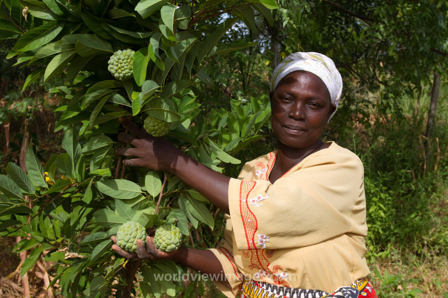 Woman with Her Fruit Tree in Kenya