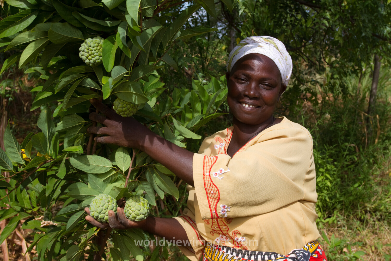 Woman with Her Fruit Tree in Kenya