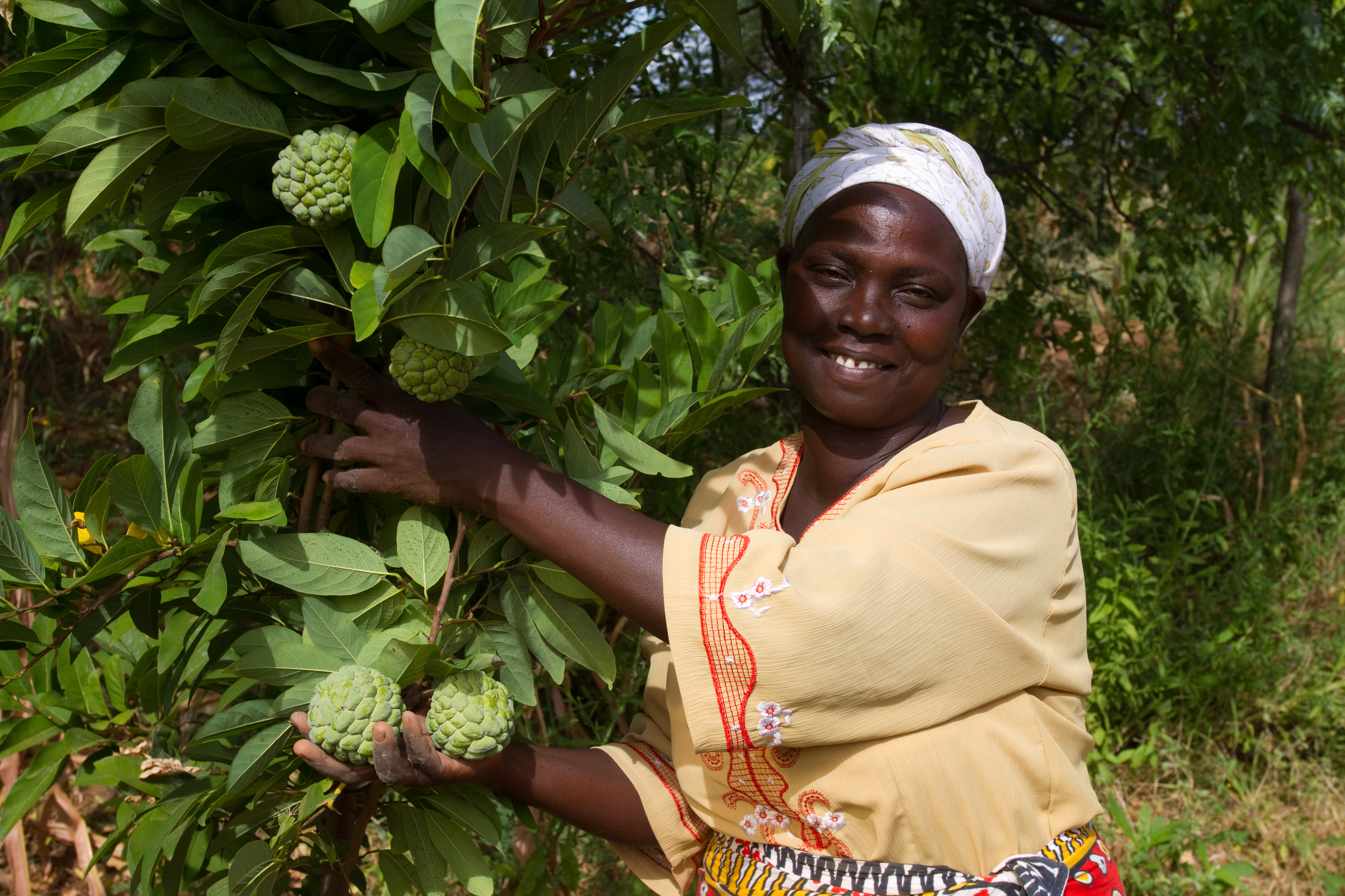 Woman with Her Fruit Tree in Kenya