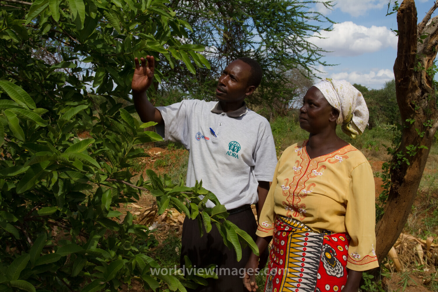 Consulting with a Specialist in Kenya