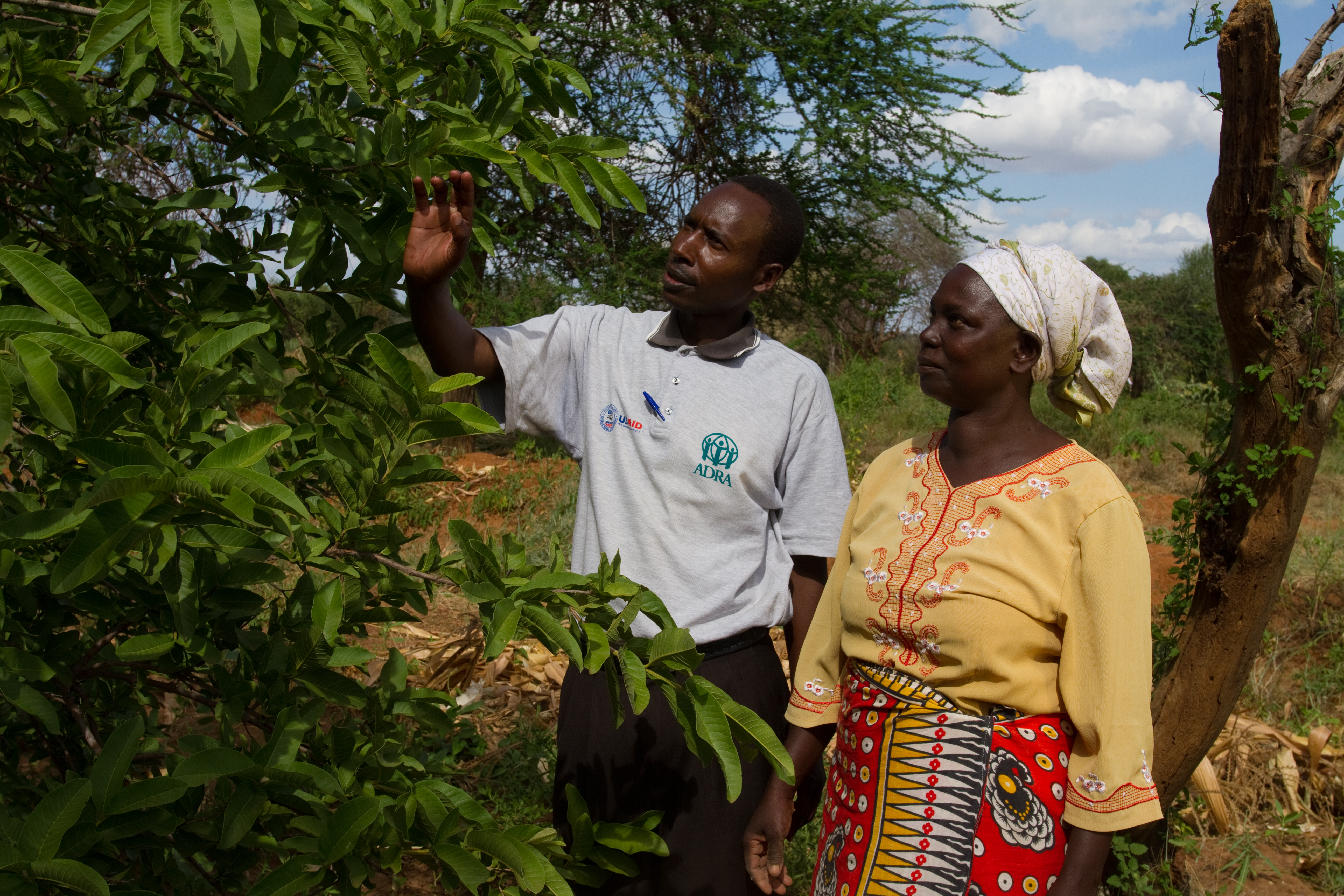 Consulting with a Specialist in Kenya