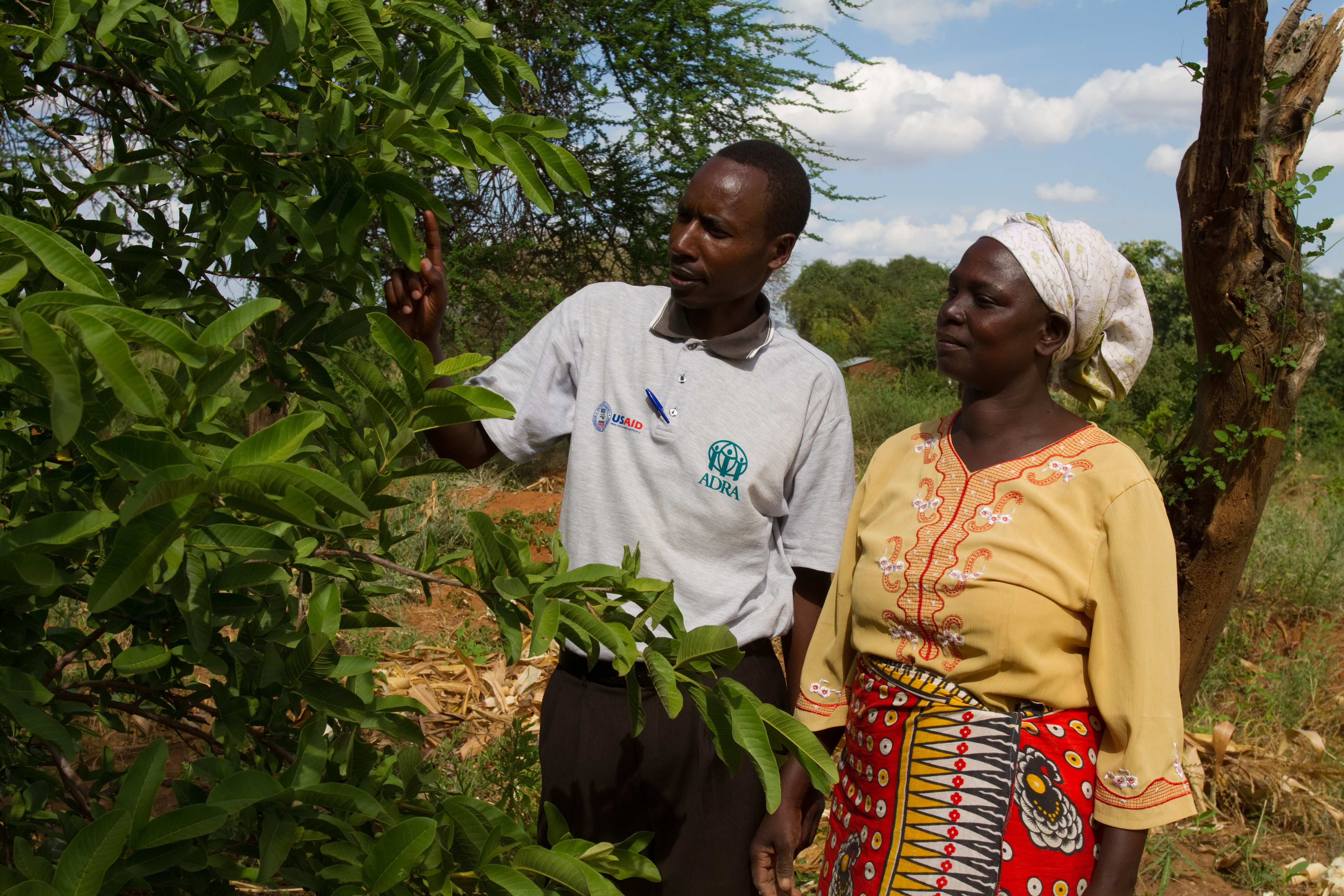 Consulting with a Specialist in Kenya