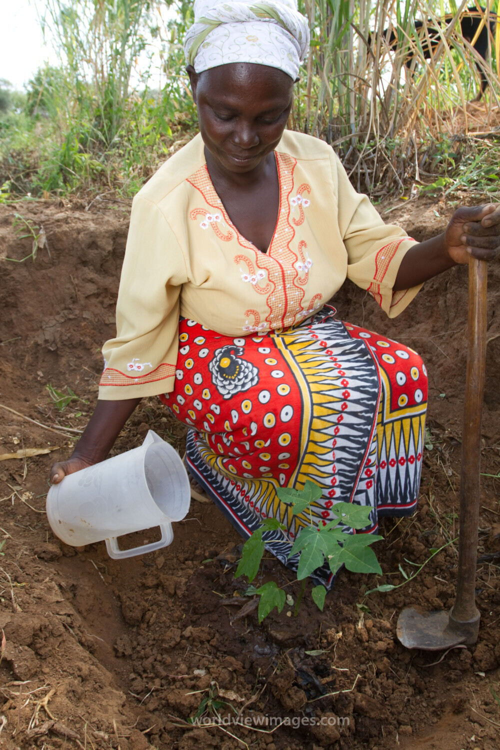 Planting a Tree in Kenya